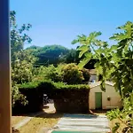 Entre Provence-camargue, Belle Maison Avec Piscine Beaucaire (Gard)