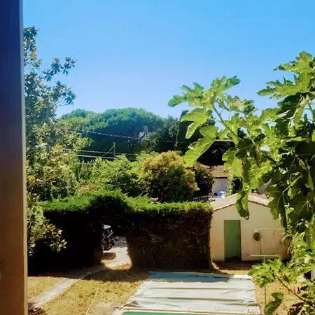 Entre Provence-camargue, Belle Maison Avec Piscine Beaucaire (Gard)