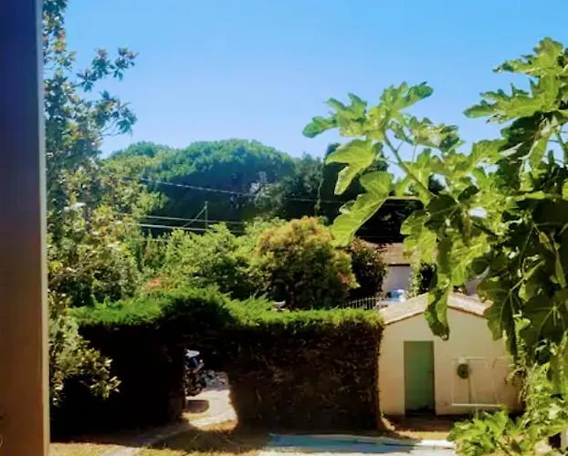 Entre Provence-camargue, Belle Maison Avec Piscine Beaucaire (Gard)